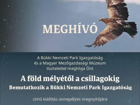 Megnívó